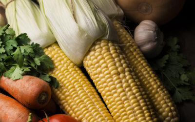 CAF invertirá $8.500 millones en agroalimentación en América latina
