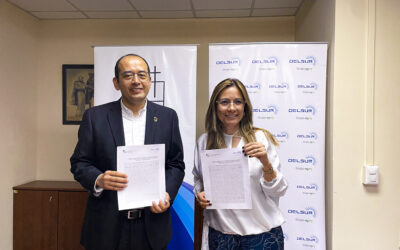 DELSUR y UCA impulsan formación en transición energética con enfoque sostenible