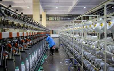 Sector textil salvadoreño consolida su liderazgo en empleo y exportaciones