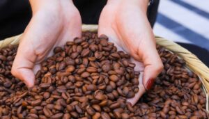 77 muestras de café participan en la Taza de Excelencia 2025