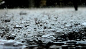 Este año 2025 hay transición del fenómeno de El Niño a La Niña