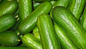 Retiran pepinos del mercado de Estados Unidos por brote de Salmonella