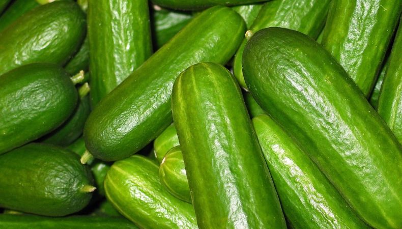 Retiran pepinos del mercado de Estados Unidos por brote de Salmonella