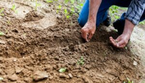 En el día de la biodiversidad en Colombia se siembran semillas de esperanza