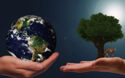 La industria salvadoreña reafirma su compromiso con el medio ambiente