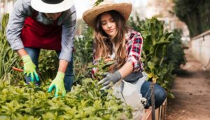 1,4% podría subir el PIB si se elimina el desempleo juvenil según la FAO