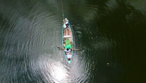 CEL liberó 50,000 alevines de tilapia para beneficio de la pesca artesanal