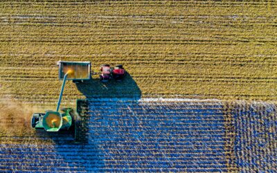 Unilever impulsa la agricultura sostenible a través de sus programas con pequeños productores