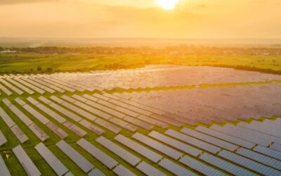 Magdalena y MPC Energy Solutions generan energía limpia en Escuintla, Guatemala