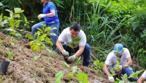 BCIE realizó la octava jornada de reforestación en El Salvador