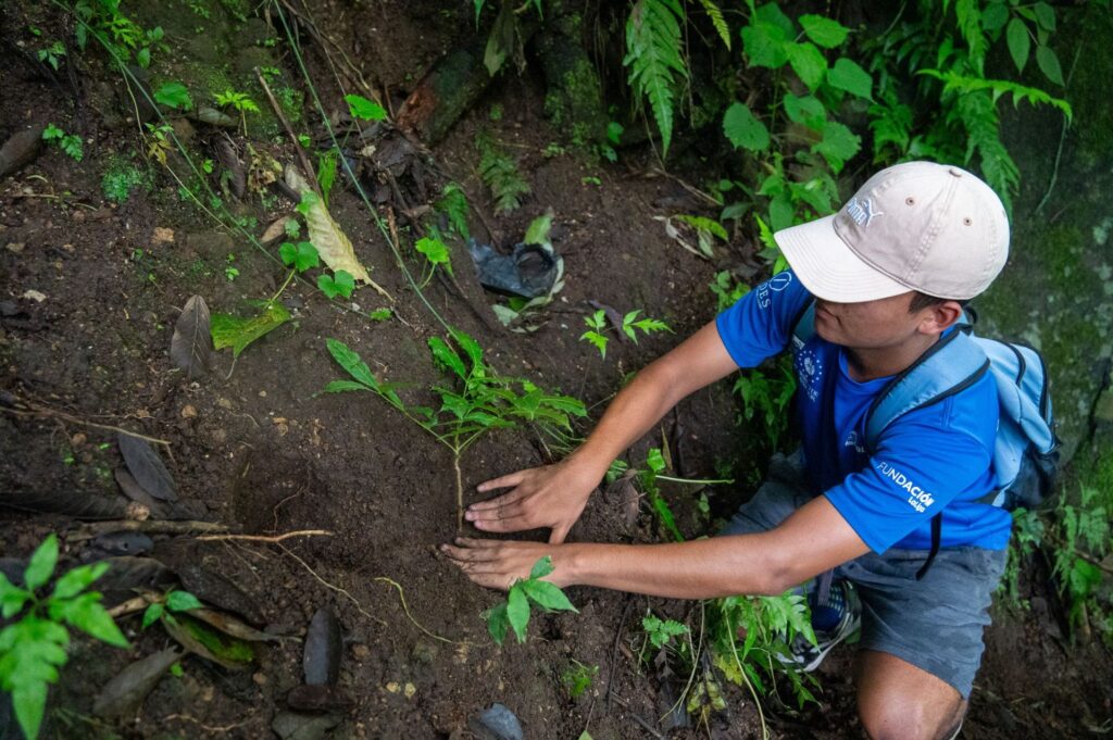 FIAES realizó jornada de reforestación en Juayúa, Sonsonate