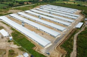 La industria salvadoreña ha presentado datos positivos en 2025