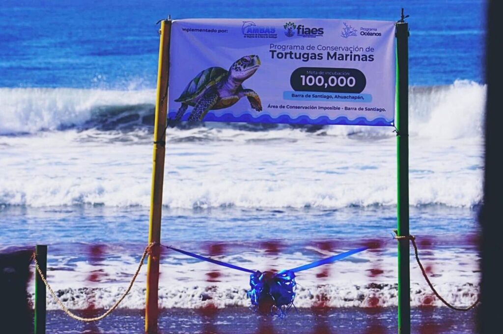 FIAES y AMBAS inauguraron proyecto de conservación de tortugas marinas