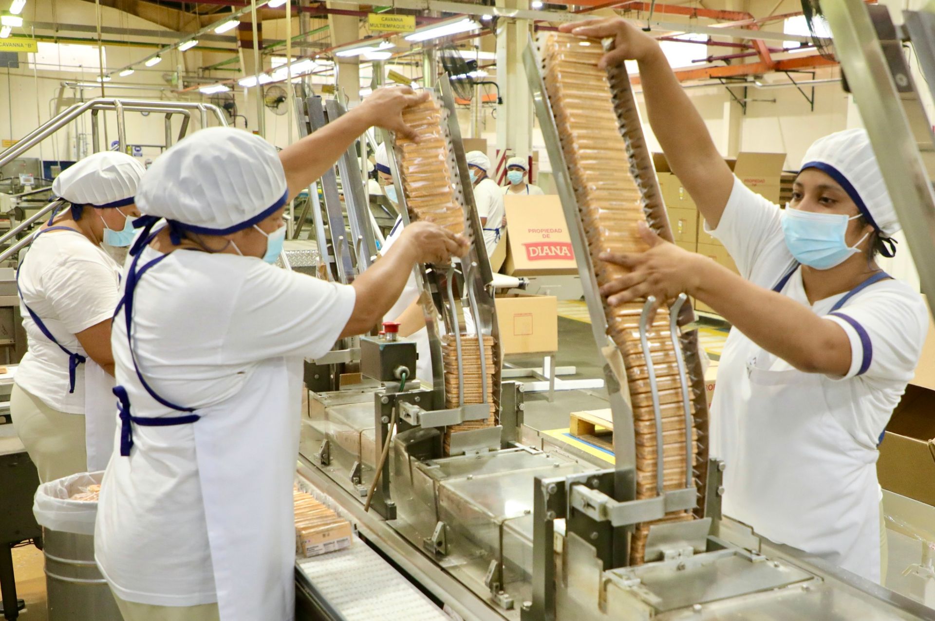 DIANA reconoció a sus colaboradores con más años de servicio