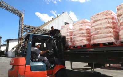 Exportaciones en El Salvador a enero de 2026 presentaron crecimiento