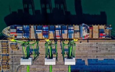 Más de 200 productos salvadoreños llegaron a 60 nuevos mercados en 2025
