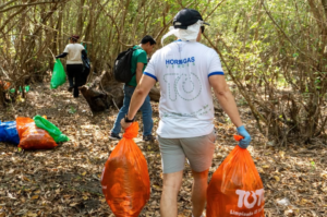 TOTO Plásticos realizó jornada de recolección de desechos en manglar en La Libertad Costa