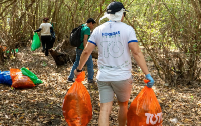 TOTO Plásticos realizó jornada de recolección de desechos en manglar en La Libertad Costa