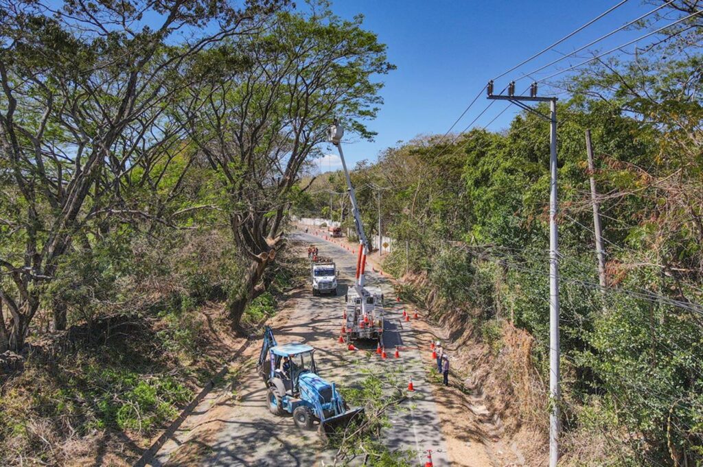AES El Salvador realizó poda sustentable en Santa Ana