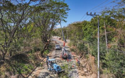 AES El Salvador realizó poda sustentable en Santa Ana