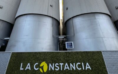 Cadena de valor de La Constancia emplea al 2.5% de PEA en El Salvador