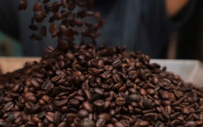 Exportaciones de café salvadoreño reportaron crecimiento
