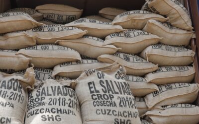 Acuerdo comercial entre El Salvador y Bolivia fortalecería exportaciones salvadoreñas