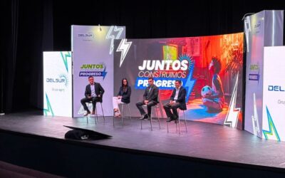 El 71 % de la energía distribuida por DELSUR fue de fuentes renovables en 2025