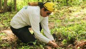 IPSA participa en jornada de reforestación