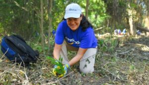 Banco Cuscatlán realizó una jornada de reforestación en zona del Bajo Lempa